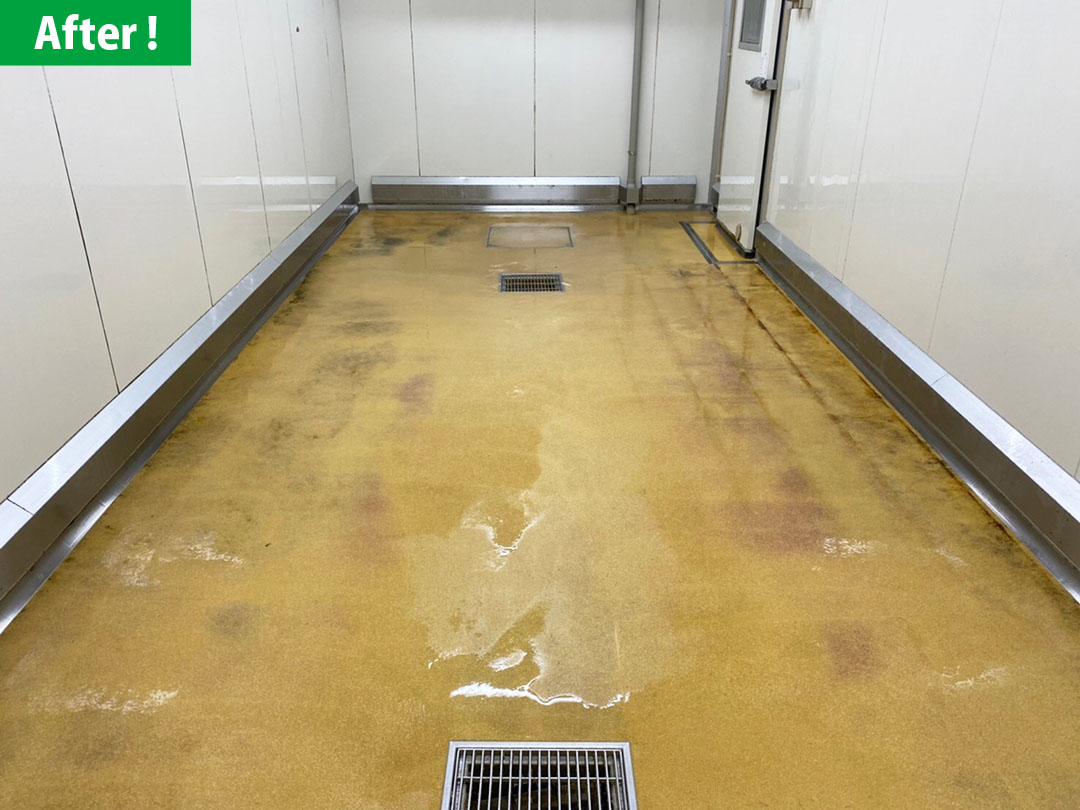 食品工場の床面のカビ除去 BAN system 施工のビフォーアフター