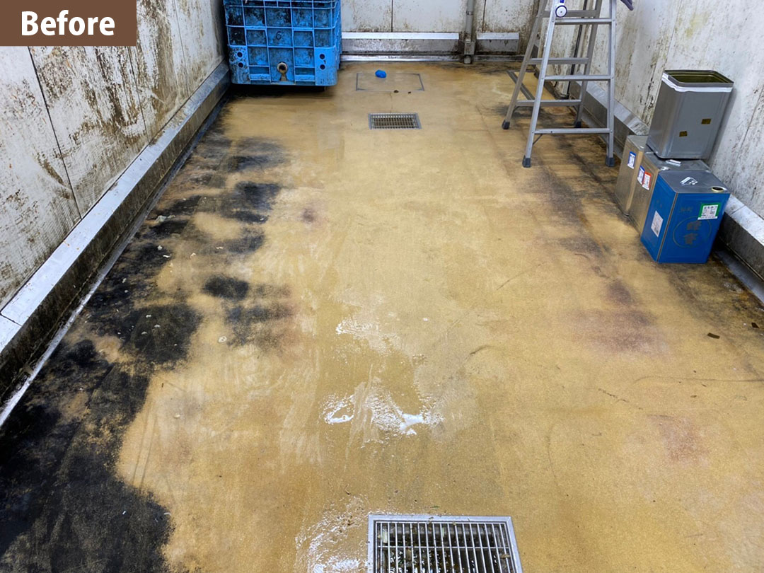 食品工場の床面のカビ除去  BAN system 施工のビフォーアフター