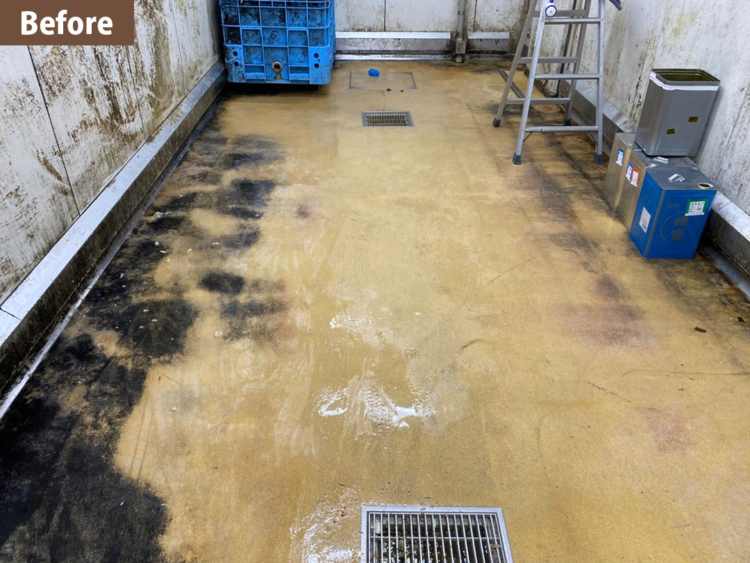 食品工場の床面のカビ除去 BAN system 施工のビフォーアフター