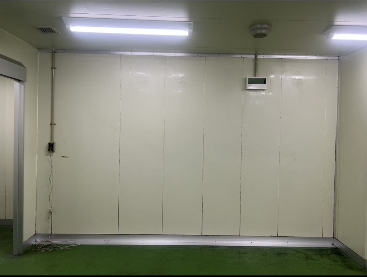 食品工場の壁に発生したカビ除去の施工後