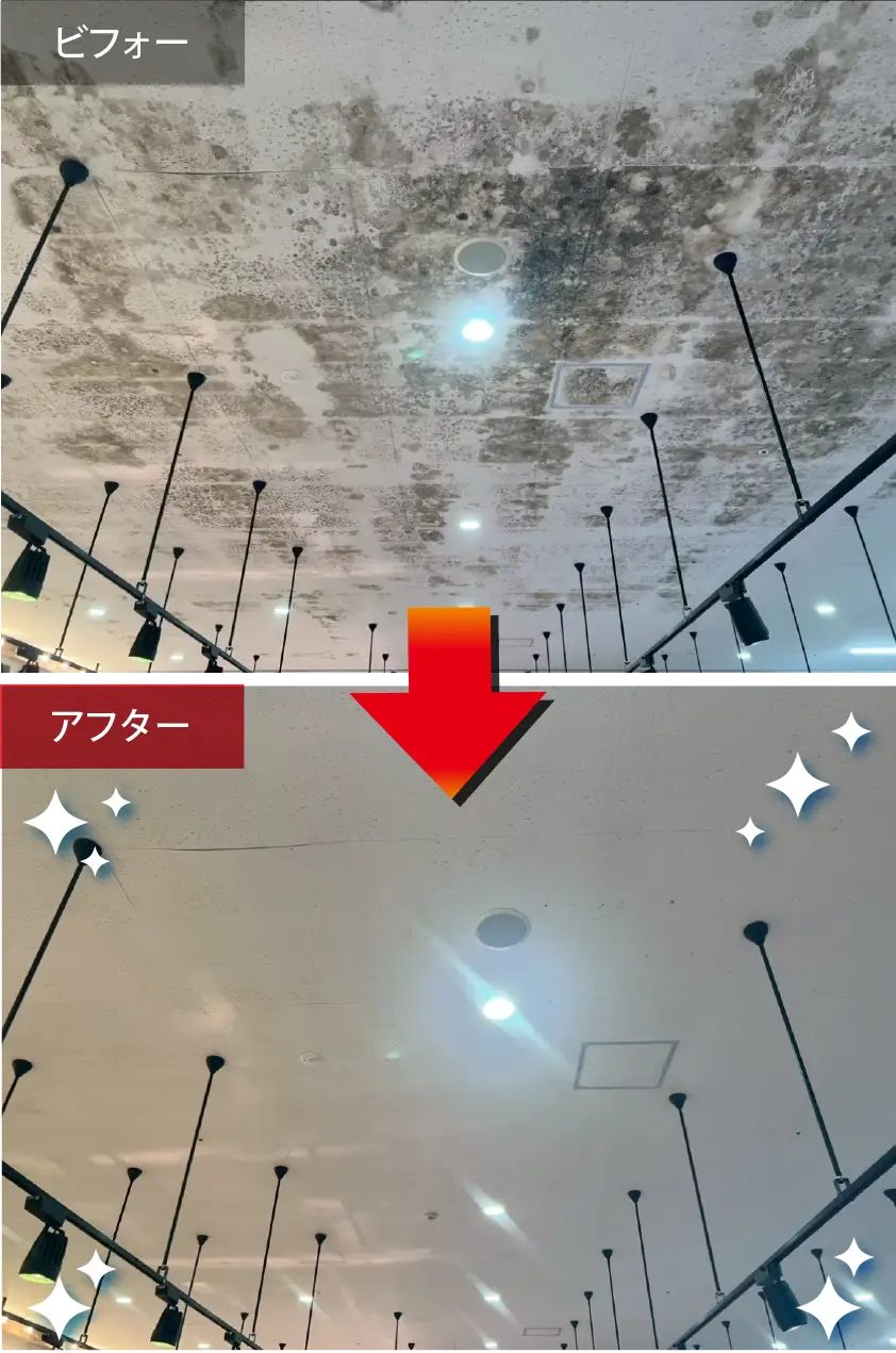カビ除去前と施工後のビフォーアフター、