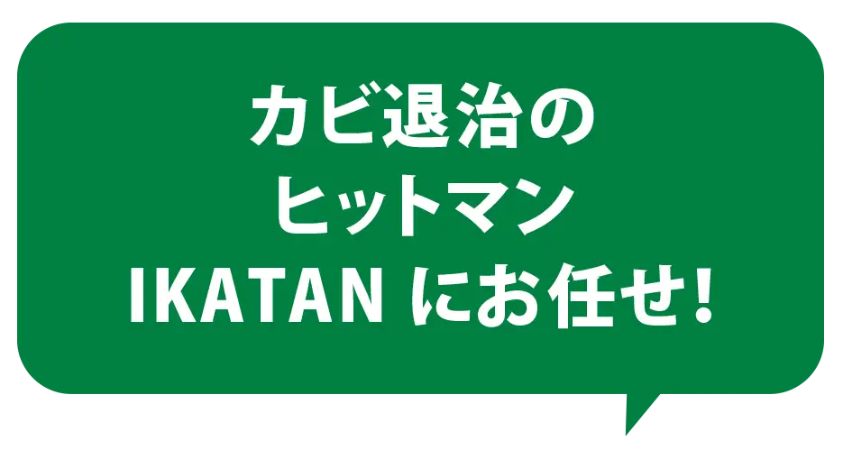 カビ退治のヒットマンIKATANにお任せ